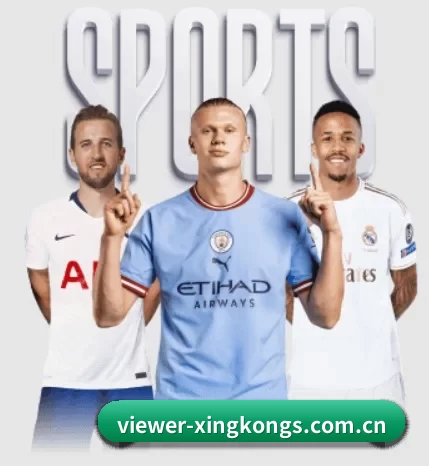 每个板块围绕一个运动项目展开 - xingkong